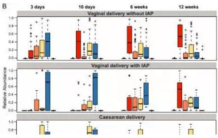 孕妇分娩期用抗生素，婴儿菌群成熟推迟