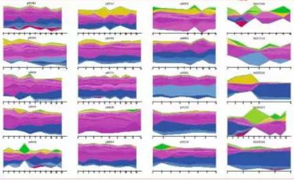 IBD患者肠道里富集的活泼瘤胃球菌