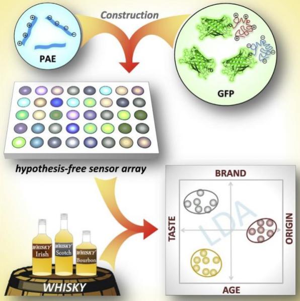 微阵列萤光标定的生物芯片