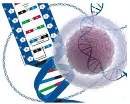 单细胞测序（SCS）技术介绍及应用