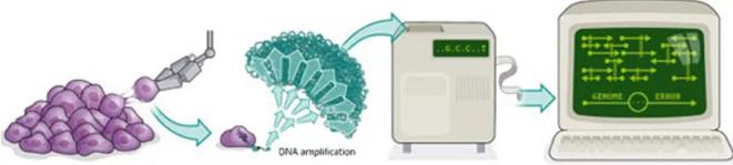 单细胞测序技术的流程