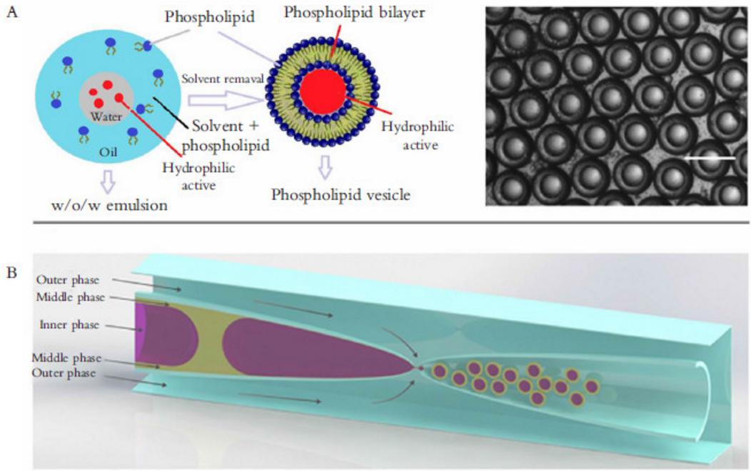 图 3 液滴微流控应用于药物递送与释放