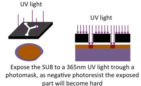 曝光的目的是通过激活光刻胶中的部分PAC（PhotoActiv Component）来引发交联反应