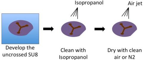 负性环氧树脂SU-8光刻胶的显影