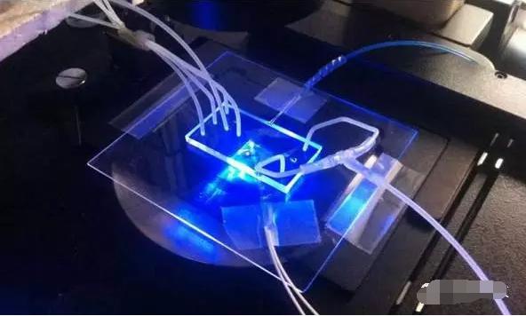 新设备检测血液中的肿瘤细胞