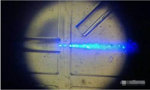 工作中的新型设备：光纤发出蓝光，照亮从左向右流动的细胞样本。（图片来源：URV）