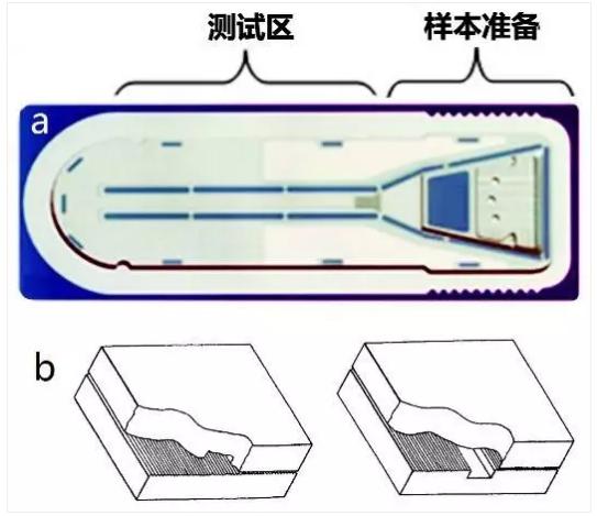 图3 Biosite微流体测试卡结构 图3 Biosite微流体测试卡结构