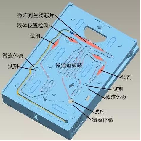 图3 理邦m16微流控测试卡结构 图3 理邦m16微流控测试卡结构