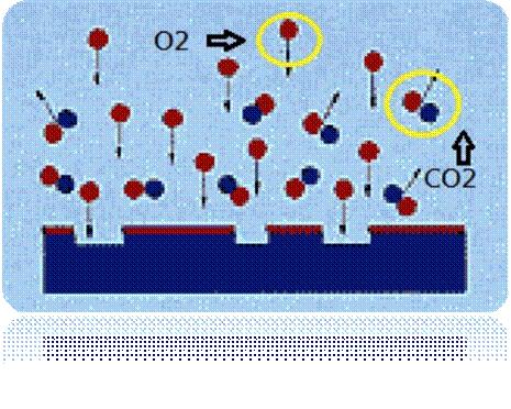 图二為已被电离化的气体分子团（Plasma）对被处理材料的分子团进行撞击及反应。
