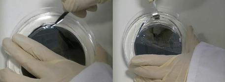 PDMS剥离模具 PDMS剥离模具