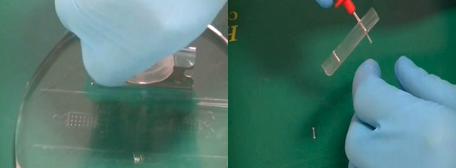 PDMS复制和打孔 PDMS复制和打孔