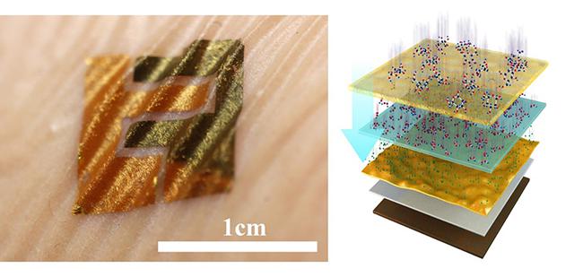 类皮肤生物传感器及结构示意图
