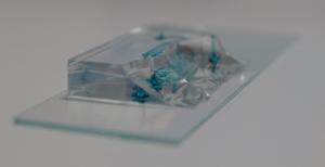 微流控芯片中玻璃和PDMS进行等离子键合