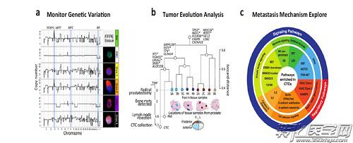 检测肿瘤进展期间临床相关的基因变异
