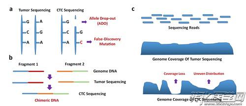 CTC测序的挑战与未来展望