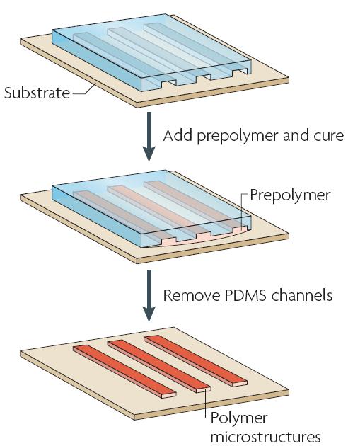 图4 毛细管成形技术的过程