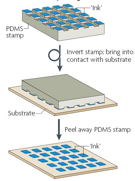 图 5 微接触印刷技术的过程