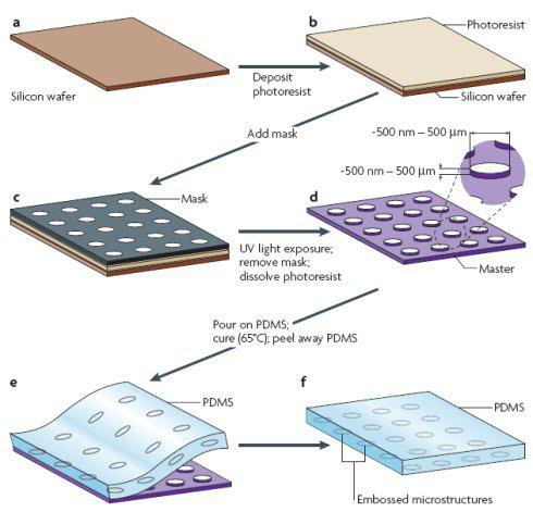 集成微结构的PDMS层的加工过程