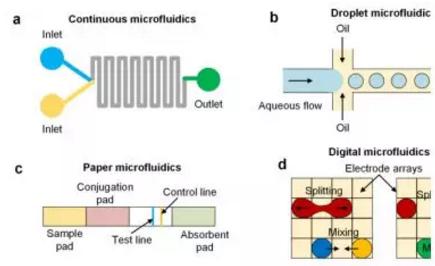 氯胺酮的抗抑郁效果或与肠-脑轴相关