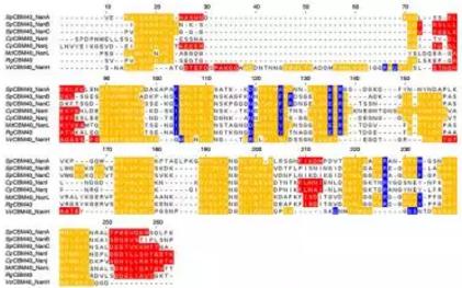 设计PPI治疗方案，多考虑点
