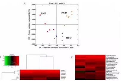 饲料中添加中药可显著改善银鲫的肠道菌群