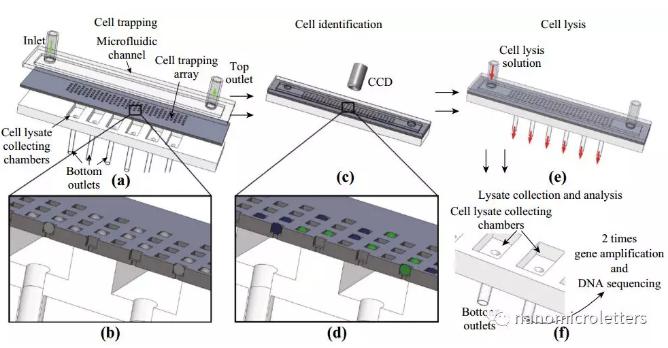 微流控芯片原理及其操作图