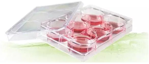 有限稀释法（Limiting Dilution）