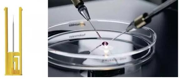 显微操作法（Micromanipulator）