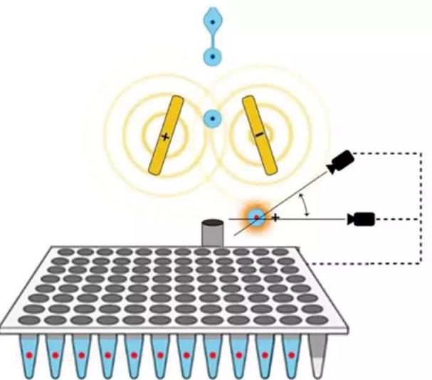 荧光流式分?。‵ACS）