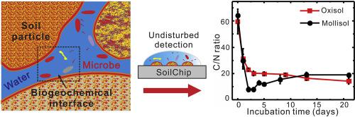 采用湿润性图案化微流控芯片技术用于土壤生物地球化学界面的形成过程研究
