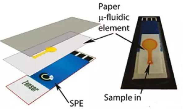 纸基检测芯片 纸基检测芯片