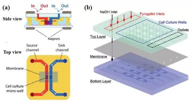 图2 “薄膜”结构