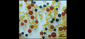 图2. 液滴对外加磁场的响应。图片来源：Nature