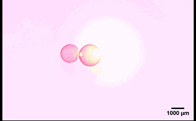 图4. “齿轮”型液滴机械系统。