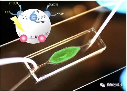 利用微流控芯片进行人工光合作用