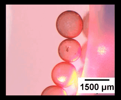 图4. “齿轮”型液滴机械系统。