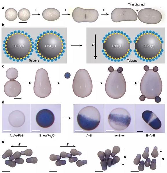 图5. 基于静电“焊接”设计与开发复杂非球型液滴。