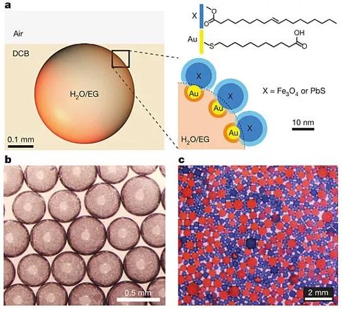 图1：表面活性剂的设计及图像。图片来源：Nature
