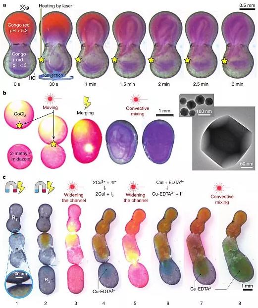 图6. 动态控制的液滴化学反应器。图片来源：Nature