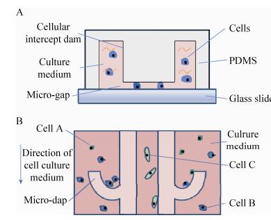 图 2 芯片结构示意图