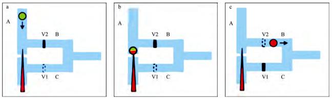 图2微流控芯片中的单细胞微注射系统