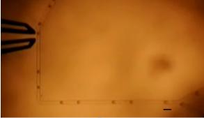 图3微液滴的生成