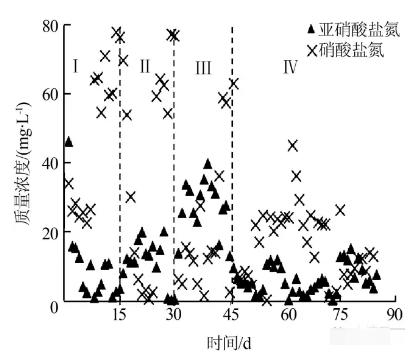反应器中进出水各形态氮的变化
