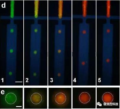 微流控系统中毛细管电泳（CE）分离技术
