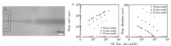 图4 液滴产生过程中的稳定性 图4 液滴产生过程中的稳定性