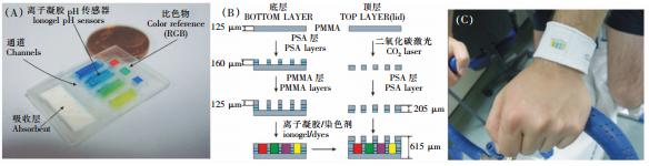 图 2 可穿戴式汗液pH值检测微流控系统