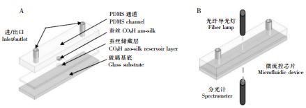 图 3 基于 PDMS 材质的可穿戴式的汗液 pH 检测芯片
