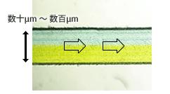流动微反应优点 流动微反应优点