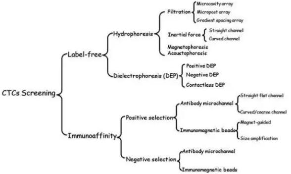图2：微流控系统分离CTCs的方法