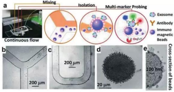 图4：基于免疫亲和原理分析外泌体的微流控系统